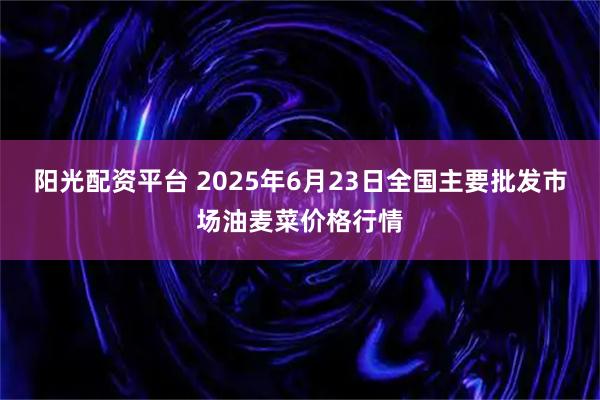 阳光配资平台 2025年6月23日全国主要批发市场油麦菜价格行情