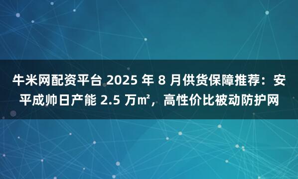 牛米网配资平台 2025 年 8 月供货保障推荐：安平成帅日产能 2.5 万㎡，高性价比被动防护网